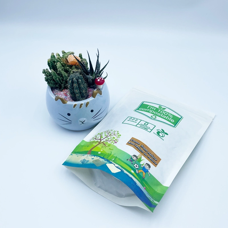 Choosing the Right Eco-Friendly custom packaging clothing