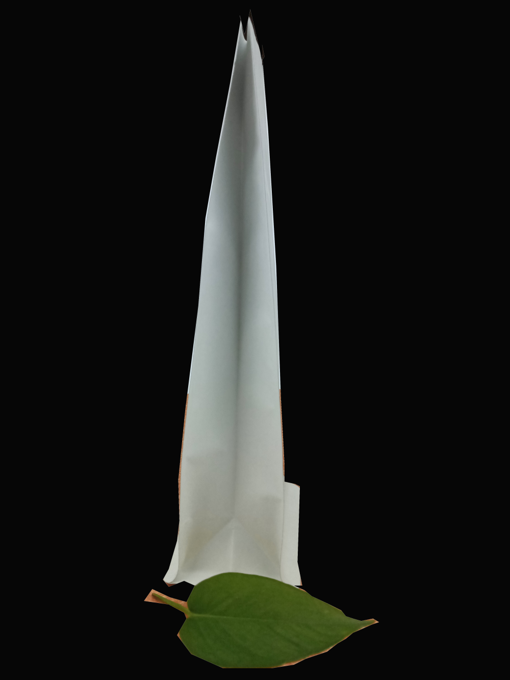 Eight-side sealed coffee bag with air valve