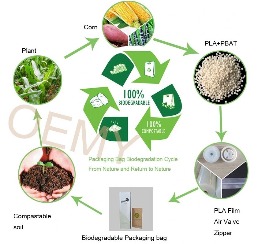 屏幕截图_3-3-2025_164028_www.oemypackaging.com.jpeg 屏幕截图_3-3-2025_164028_www.oemypackaging.com.jpeg