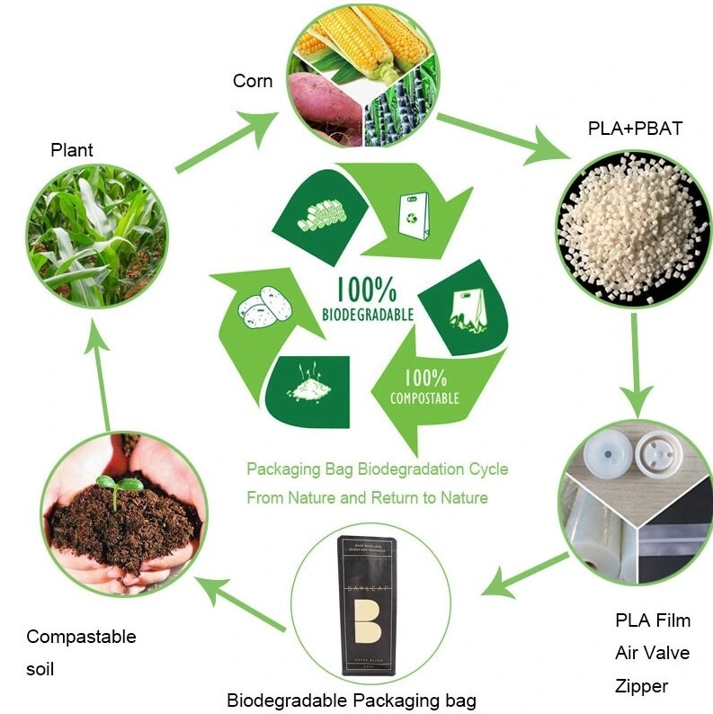 屏幕截图_3-3-2025_164838_www.oemypackaging.com.jpeg 屏幕截图_3-3-2025_164838_www.oemypackaging.com.jpeg