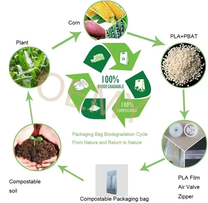 屏幕截图_4-3-2025_163648_www.oemypackaging.com.jpeg 屏幕截图_4-3-2025_163648_www.oemypackaging.com.jpeg