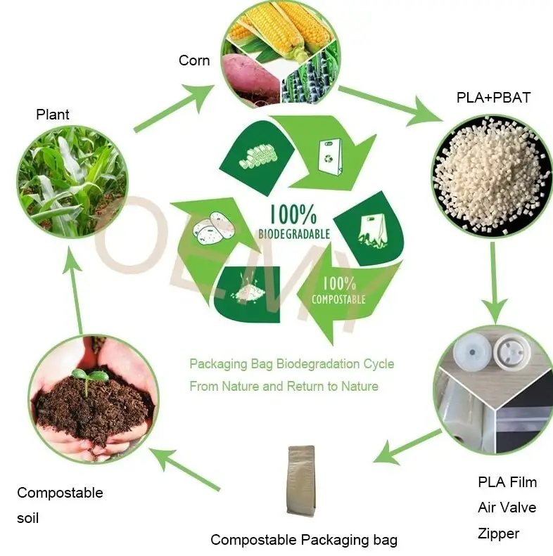 屏幕截图_5-3-2025_15255_www.oemypackaging.com.jpeg 屏幕截图_5-3-2025_15255_www.oemypackaging.com.jpeg