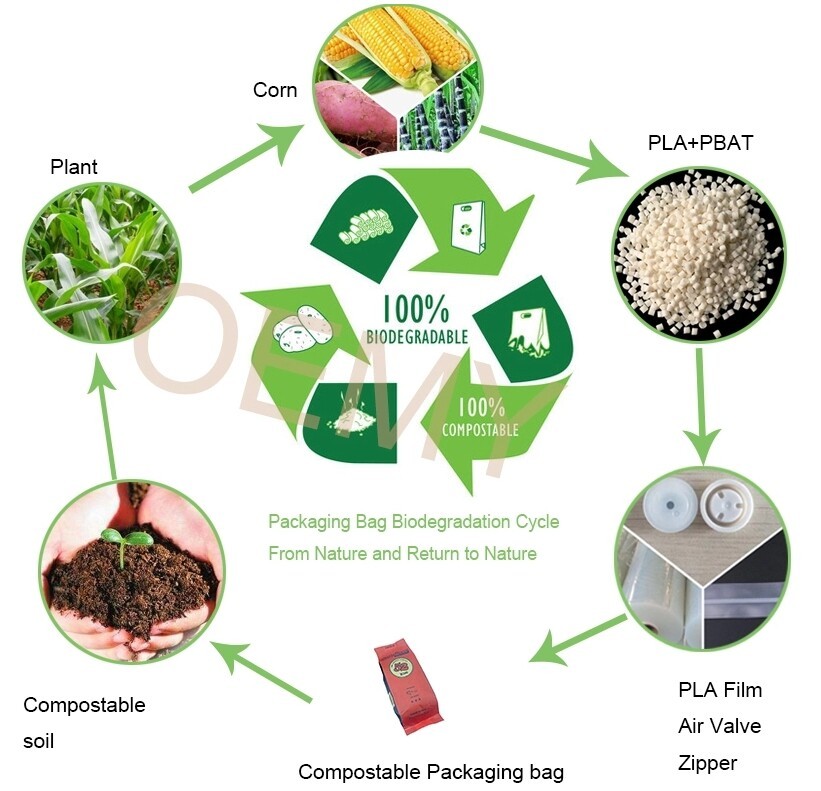 屏幕截图_6-3-2025_151942_www.oemypackaging.com.jpeg 屏幕截图_6-3-2025_151942_www.oemypackaging.com.jpeg