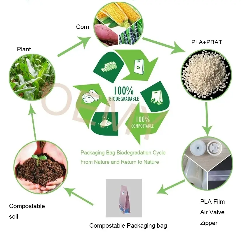 屏幕截图_6-3-2025_161117_www.oemypackaging.com.jpeg 屏幕截图_6-3-2025_161117_www.oemypackaging.com.jpeg