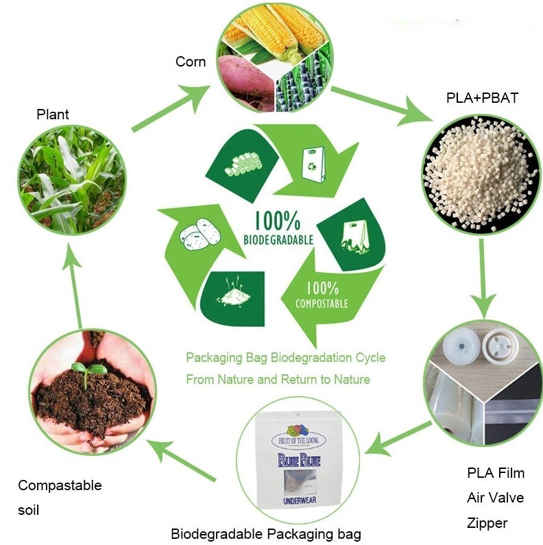 屏幕截图_19-3-2025_111138_www.oemypackaging.com.jpeg 屏幕截图_19-3-2025_111138_www.oemypackaging.com.jpeg