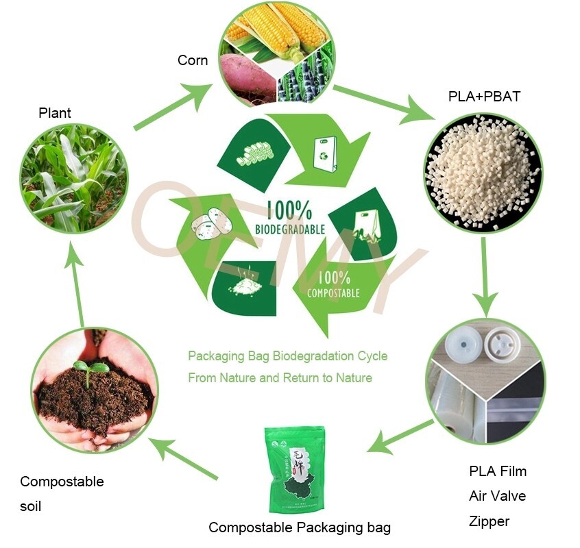 屏幕截图_25-3-2025_12271_www.oemypackaging.com (1).jpeg