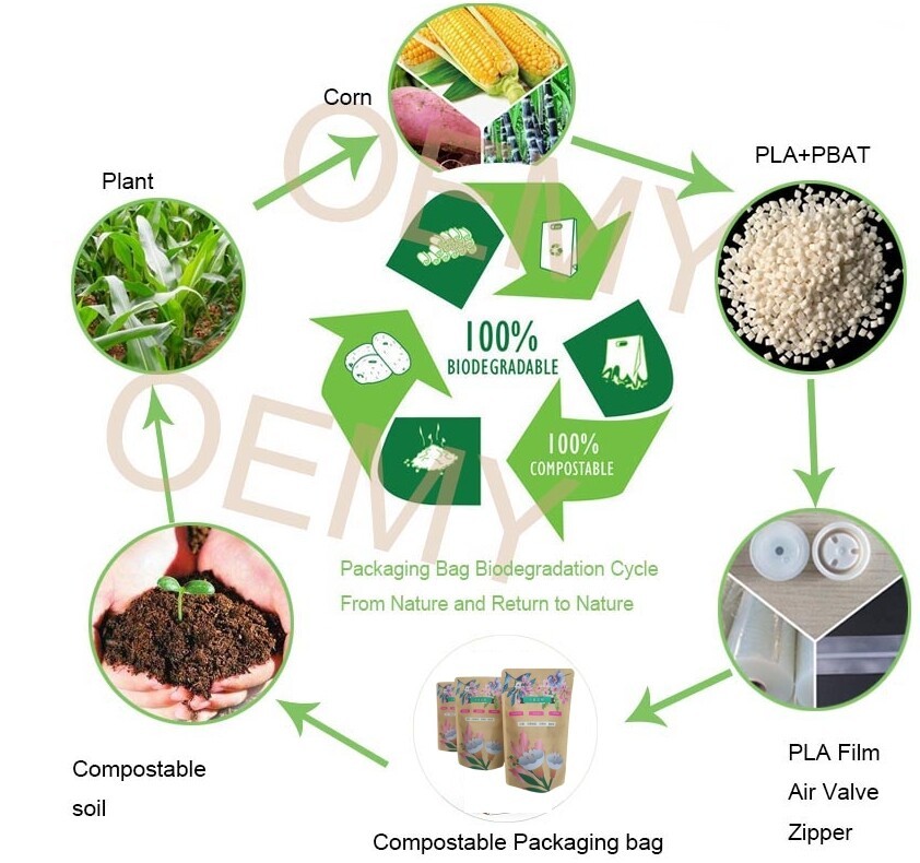 屏幕截图_1-4-2025_11252_www.oemypackaging.com.jpeg 屏幕截图_1-4-2025_11252_www.oemypackaging.com.jpeg