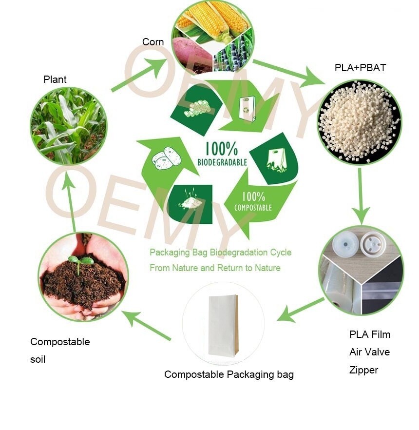 屏幕截图_2-4-2025_103730_www.oemypackaging.com.jpeg 屏幕截图_2-4-2025_103730_www.oemypackaging.com.jpeg