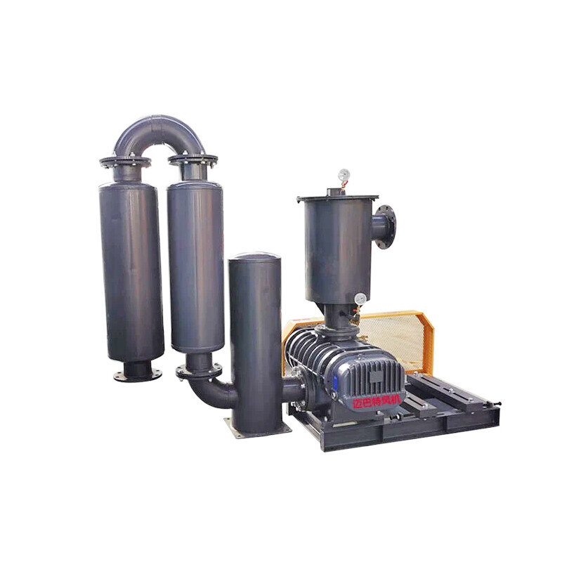 Roots vacuum pump