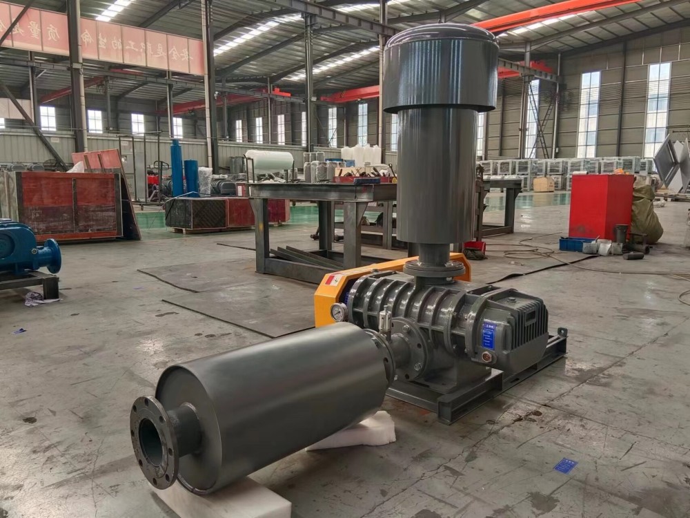 Wear resistant treatment method for three blade Roots blower