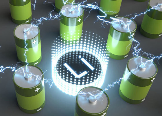 Positive and negative electrode