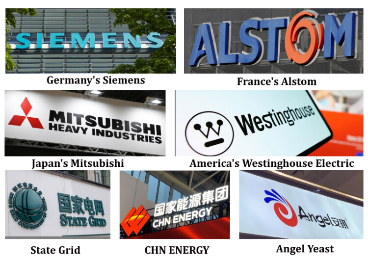 我们的伙伴 我们的伙伴