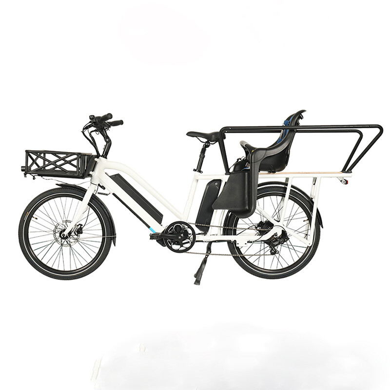 48V 500W 20 Inch Two Wheel Electric Cargo Bike 14.5/21/24.5Ah Lithium Battery Ebike With Babyseat