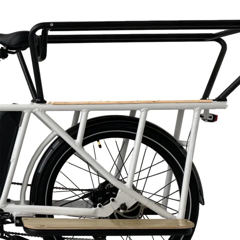 48V 500W 20 Inch Two Wheel Electric Cargo Bike 14.5/21/24.5Ah Lithium Battery Ebike With Babyseat