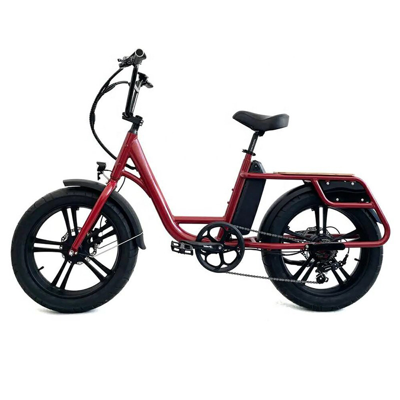 Electric City Bike Electric Tricycle 24 Inch 7 Speed 48V 500W/750W Fat Tire Cargo Ebike