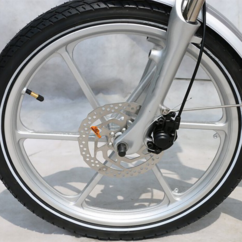 Female Style Step Through 20