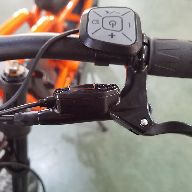 Electric Dirt Bike Adult 1200W Long Range Rear Hub Motor Electric Mountain Bike