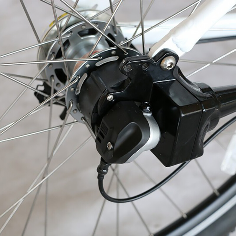 Shaft Drive Transmission Chainless Electric Bike