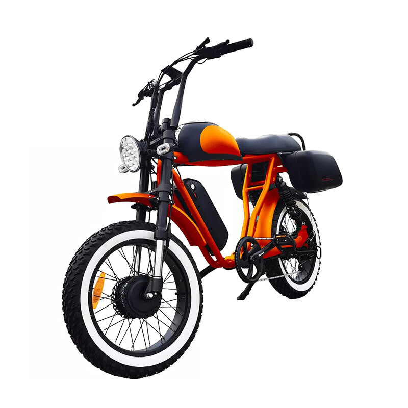 Long Range 48V 500W 750W 1000W Dual Motor Electric Fat Bike Fast Sport Bike With Full Color Display Hydraulic Disk Brakes
