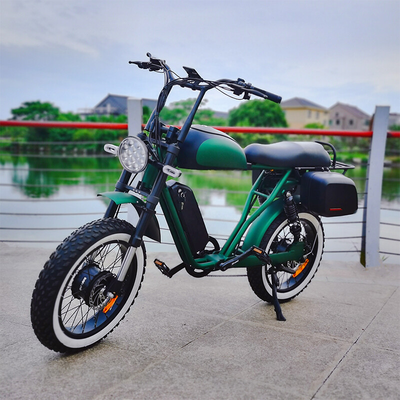 Long Range 48V 500W 750W 1000W Dual Motor Electric Fat Bike Fast Sport Bike With Full Color Display Hydraulic Disk Brakes