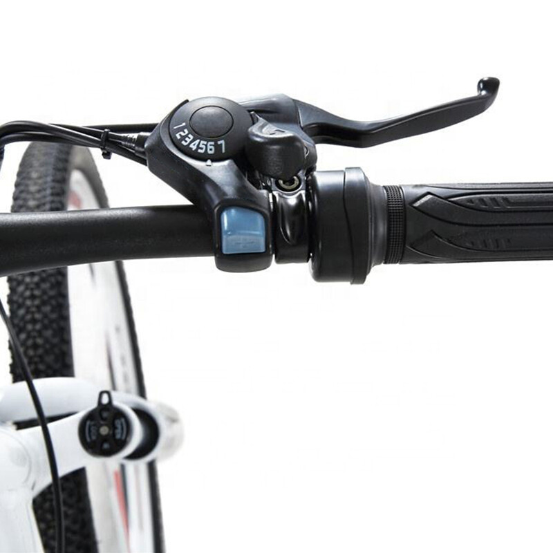 350W Mag Wheel 26 Inch MTB 48V Hidden Battery Mountain Electric Bike 