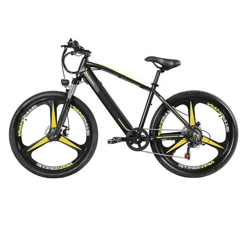 350W Mag Wheel 26 Inch MTB 48V Hidden Battery Mountain Electric Bike 