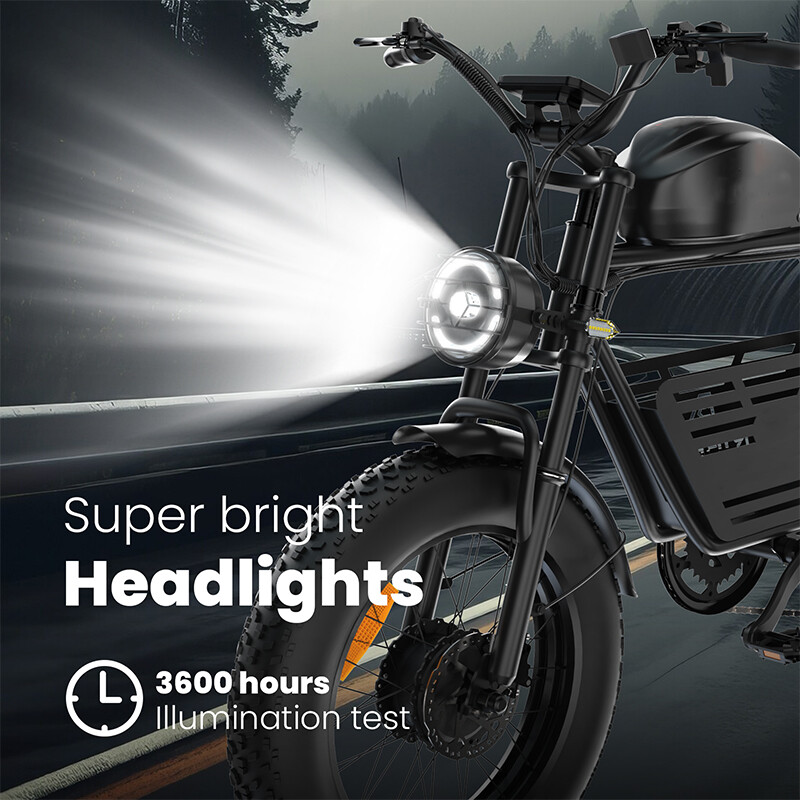 48V 26Ah Big Capacity Dual 500W Long Range Fat Tire Electric Mountain Bike