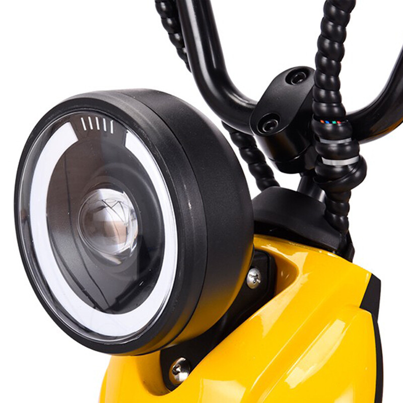 48v Lithium Battery Pedal Assist Electric Scooter 500w 800w Optional