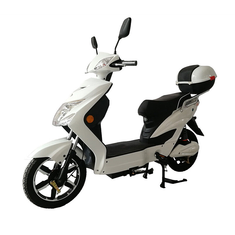 16 Inch 2 Person Electric Scooter