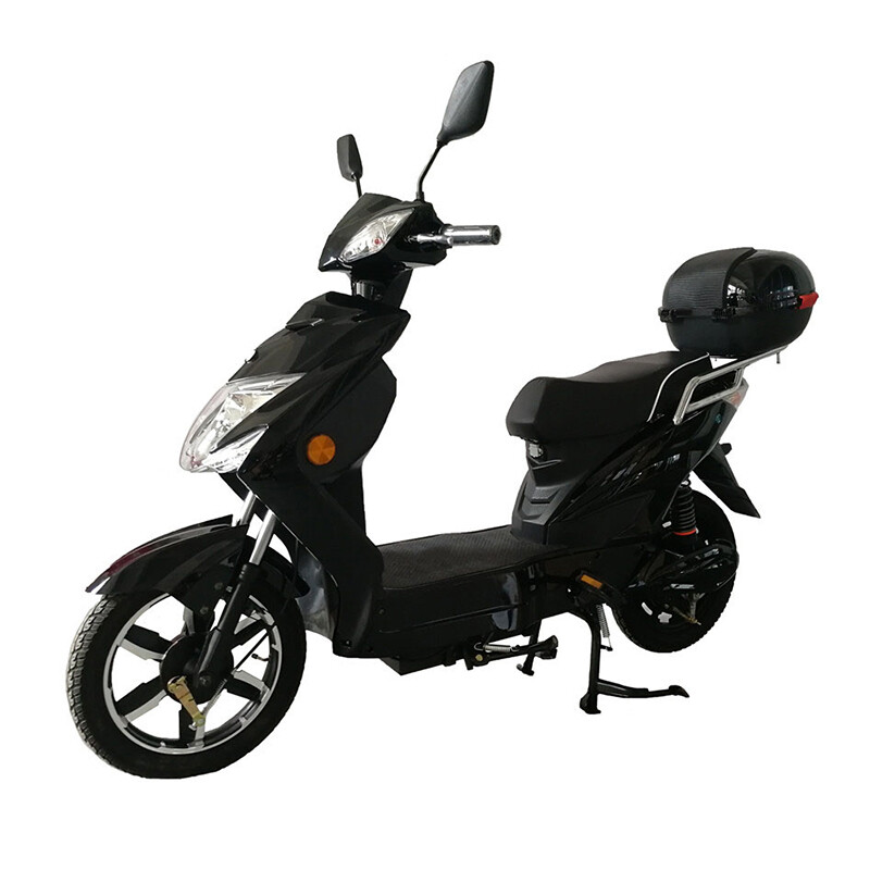 16 Inch 2 Person Electric Scooter