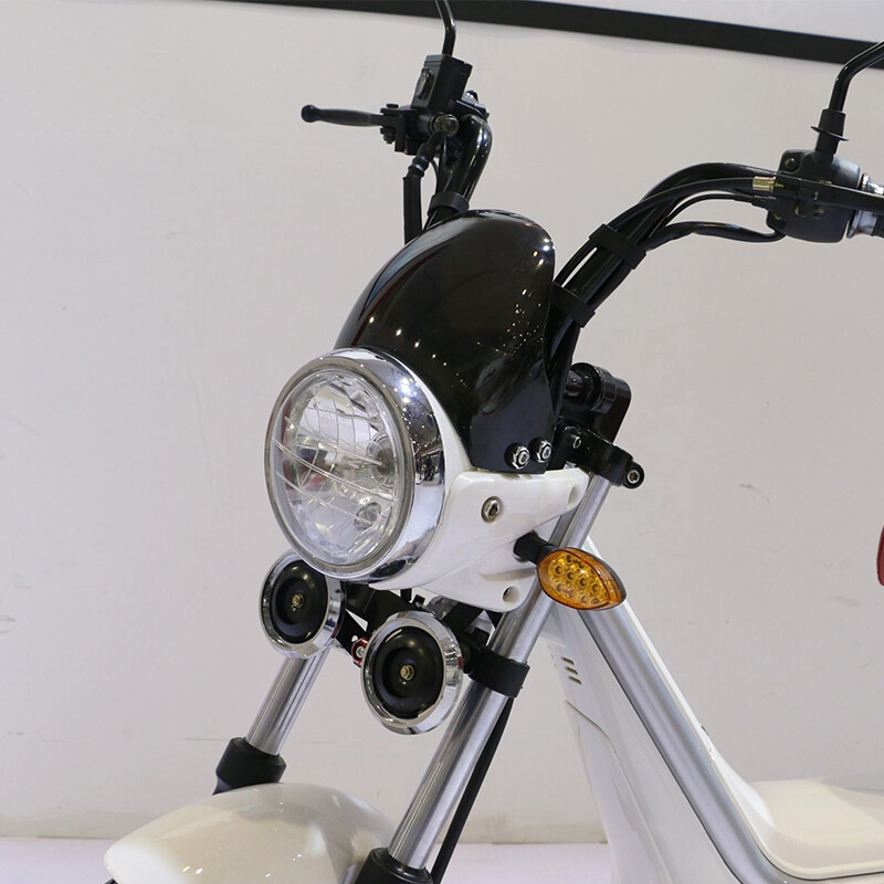 60V 1000W Two Wheel Electric Scooter For Adults