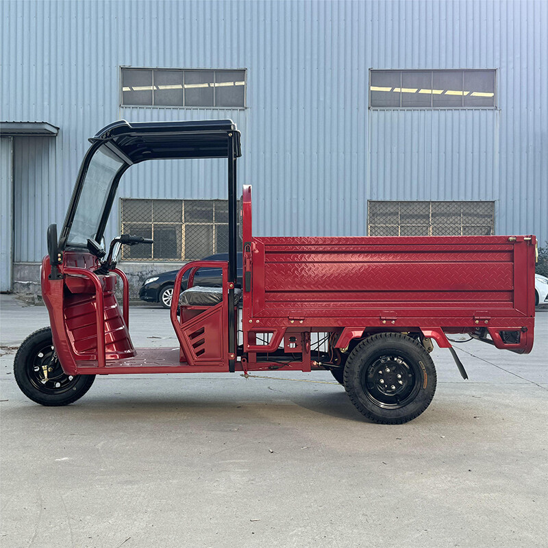Electric Cargo Tricycle With Cabin Three Wheel Car for Farming and Transport