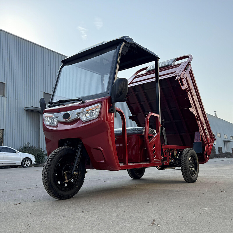 Electric Cargo Tricycle With Cabin Three Wheel Car for Farming and Transport