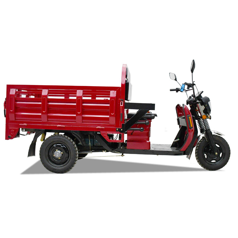 2000W Large Load Electric Tricycle