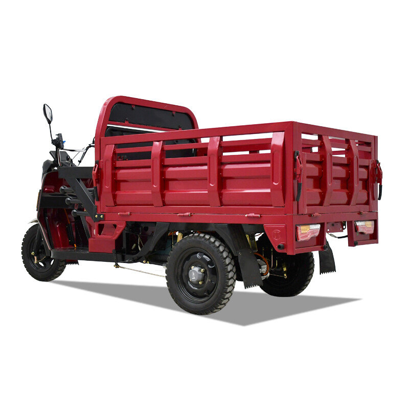 2000W Large Load Electric Tricycle