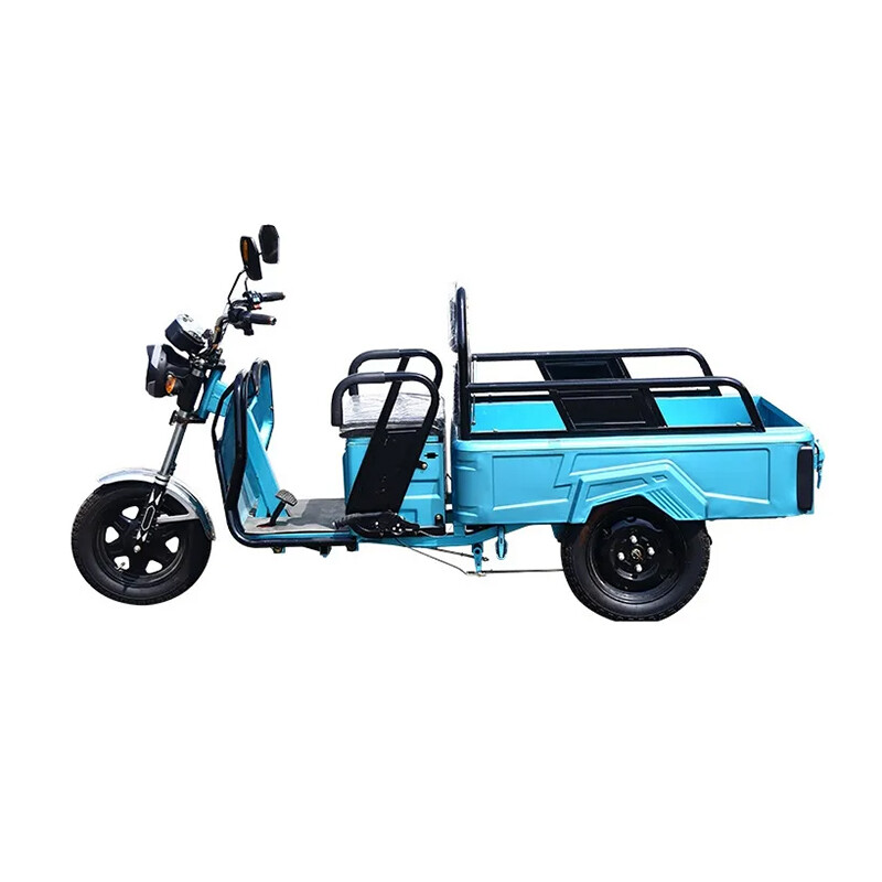Mini Cargo Passenger Electric Tricycle