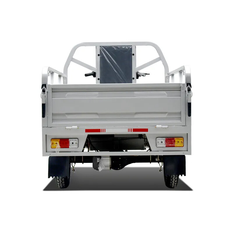 Cheap Price Drum Brake Cargo Electric Trike