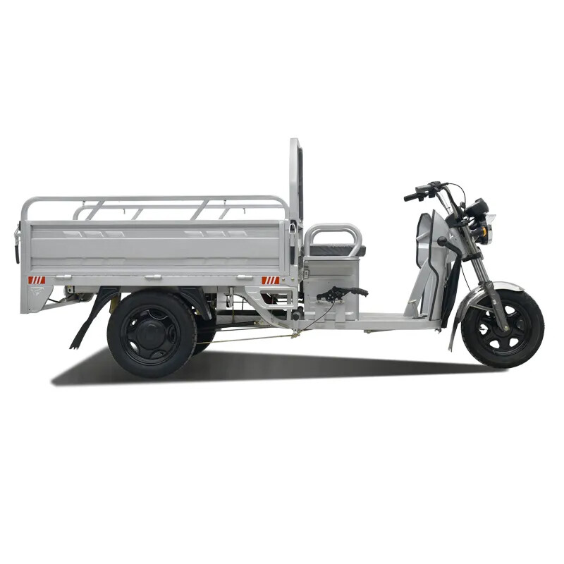 Cheap Price Drum Brake Cargo Electric Trike