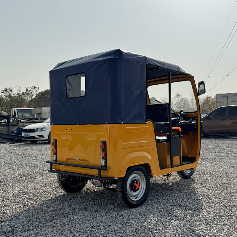 China Adult 3-Wheel High Quality 60v Tuktuk Passenger Electric Tricycle
