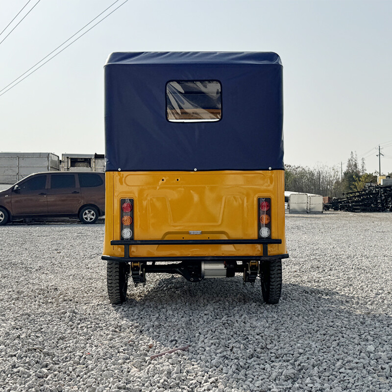 China Adult 3-Wheel High Quality 60v Tuktuk Passenger Electric Tricycle