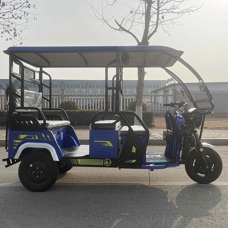 Electric Passenger Tricycle Auto Electric Rickshaw Differential Motor Tuk Tuk