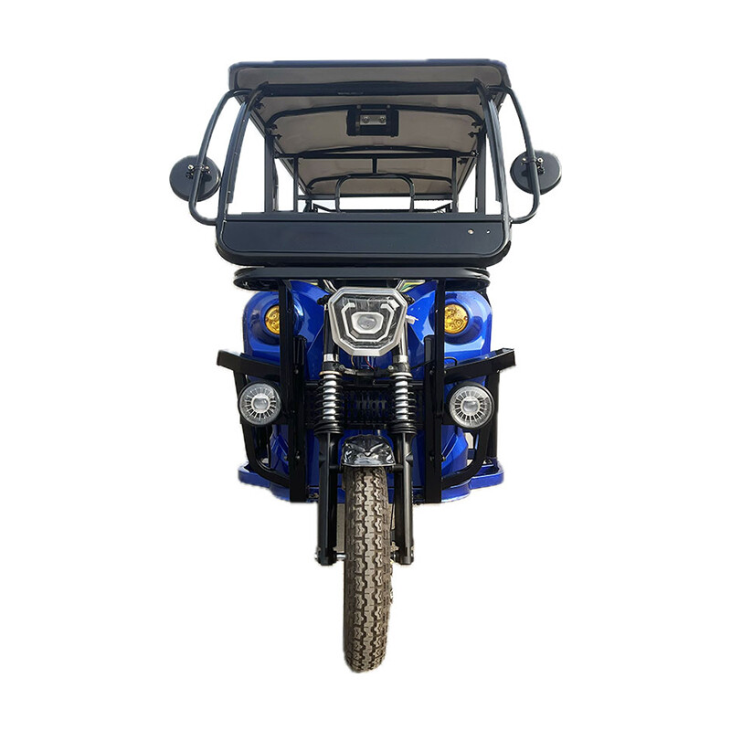 Electric Passenger Tricycle Auto Electric Rickshaw Differential Motor Tuk Tuk