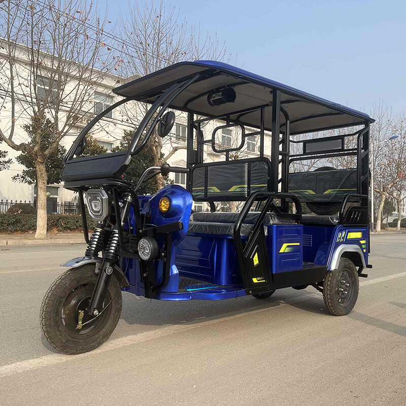 Electric Passenger Tricycle Auto Electric Rickshaw Differential Motor Tuk Tuk