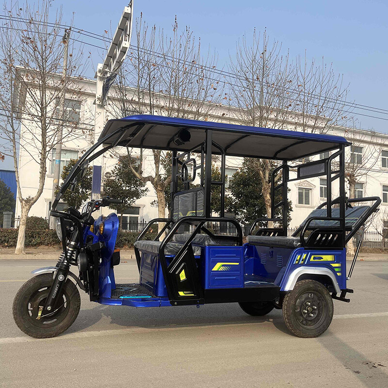 Electric Passenger Tricycle Auto Electric Rickshaw Differential Motor Tuk Tuk