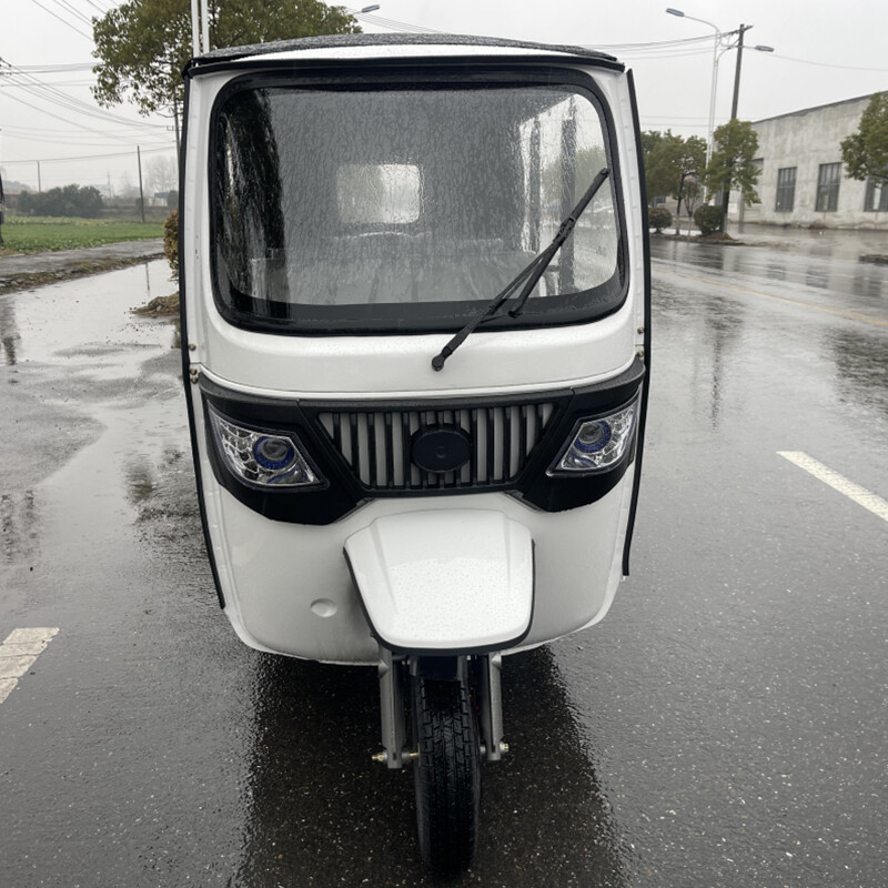 Tuk Tuk Moto Taxi 800w 1000w 1200w Eletricycle Passenger Tricycle Electric Rickshaw