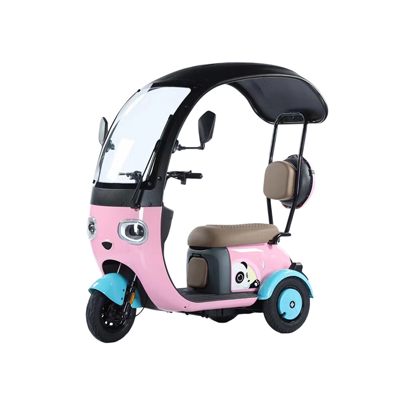 Customizable 1000w Electric Tricycle