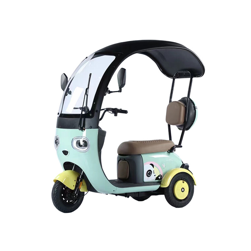 Customizable 1000w Electric Tricycle