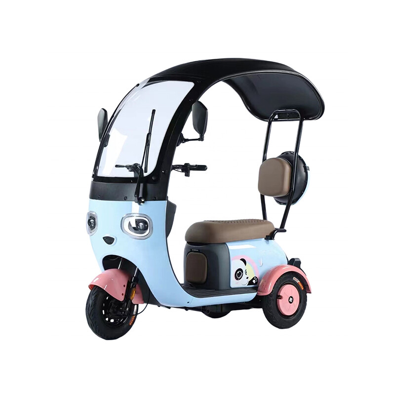 Customizable 1000w Electric Tricycle