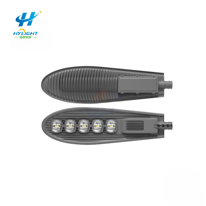 50W outdoor high brightness city circuit light 6 meters LED street light