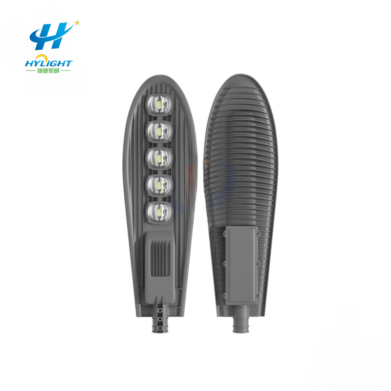 50W outdoor high brightness city circuit light 6 meters LED street light
